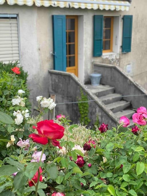 Charming Vinyard House - Geneva *