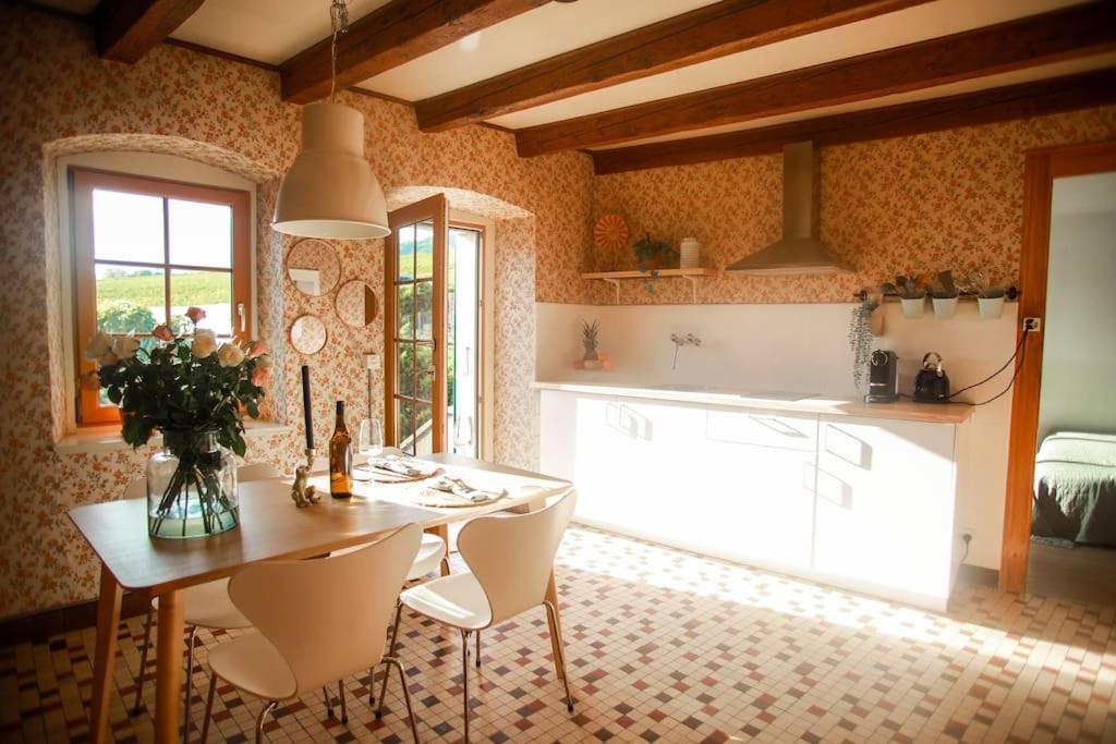 Charming Vinyard House - Geneva Prázdninový dům Mont-sur-Rolle