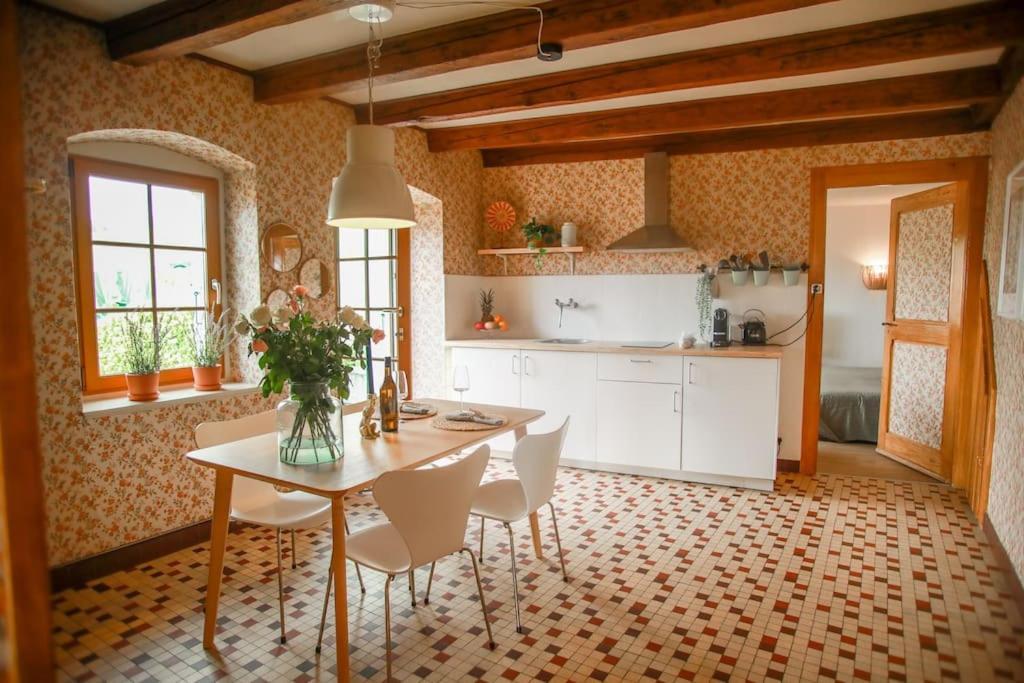 Charming Vinyard House - Geneva Mont-sur-Rolle