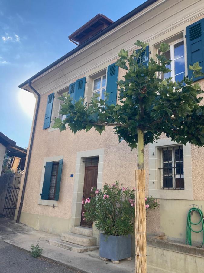 Charming Vinyard House - Geneva Prázdninový dům