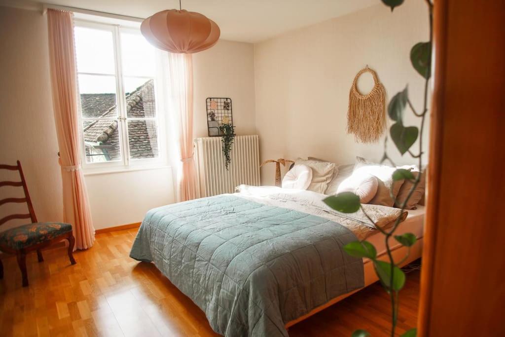 Charming Vinyard House - Geneva