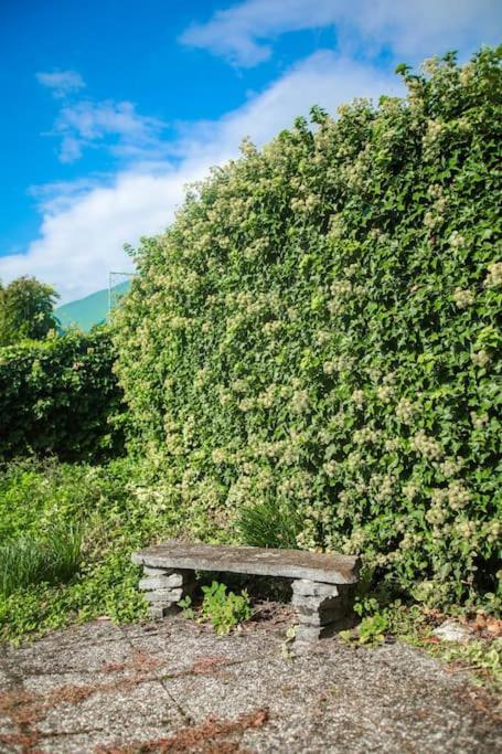Charming Vinyard House - Geneva * Mont-sur-Rolle